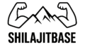 shilajit store